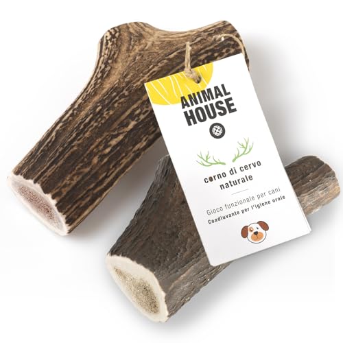 Animal House 2 Stück ganze Hirschgeweihe für Hunde, 100% natürliches Kauspielzeug, stärkt die Mundhygiene, widerstandsfähig und langlebig, in Allen Größen erhältlich (2, XXL) von Animal House