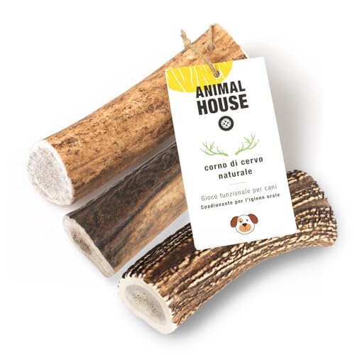 Animal House 3 Stück ganze Hirschgeweihe für Hunde, 100% natürliches Kauspielzeug, stärkt die Mundhygiene, widerstandsfähig und langlebig, in Allen Größen erhältlich (3, M) von Animal House