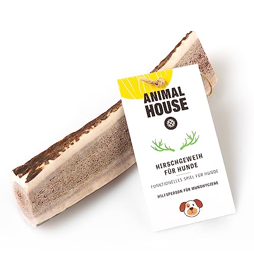 Animal House – Geteiltes Hirschgeweih für Hunde – 100% natürlicher Kausnack – Stärkt die Mundhygiene – Widerstandsfähig und langlebig – In Allen Größen erhältlich (1 stück (1er Pack), L) von Animal House