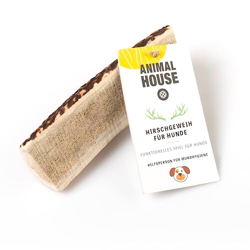 Animal House – Geteiltes Hirschgeweih für Hunde – 100% natürlicher Kausnack – Stärkt die Mundhygiene – Widerstandsfähig und langlebig – In Allen Größen erhältlich (1 stück (1er Pack), M) von Animal House