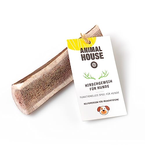 Animal House – Geteiltes Hirschgeweih für Hunde – 100% natürlicher Kausnack – Stärkt die Mundhygiene – Widerstandsfähig und langlebig – In Allen Größen erhältlich (1 stück (1er Pack), XL) von Animal House