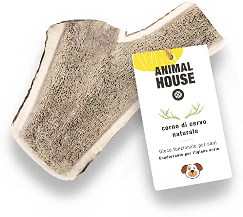 Animal House – Geteiltes Hirschgeweih für Hunde – 100% natürlicher Kausnack – Stärkt die Mundhygiene – Widerstandsfähig und langlebig – In Allen Größen erhältlich (1 stück (1er Pack), XXL) von Animal House