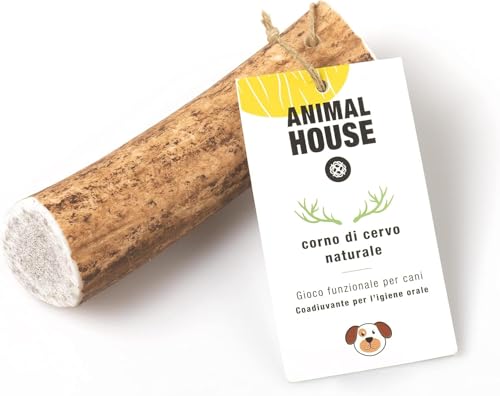 Animal House – Ganzes Hirschgeweih für Hunde – 100% natürlicher Kausnack – Stärkt die Mundhygiene – Widerstandsfähig und langlebig – In Allen Größen erhältlich (M) von Animal House