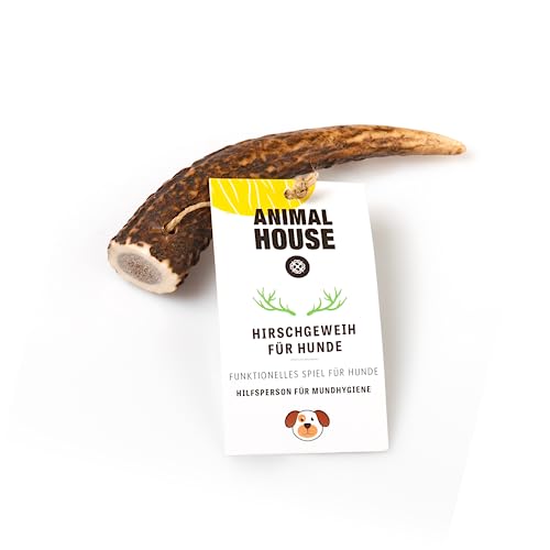 Animal House – Ganzes Hirschgeweih für Hunde – 100% natürlicher Kausnack – Stärkt die Mundhygiene – Widerstandsfähig und langlebig – In Allen Größen erhältlich (XS) von Animal House