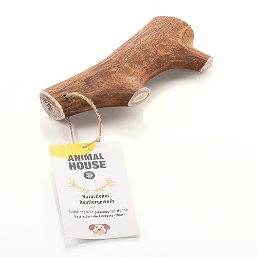 Animal House - Rentiergeweih für Hunde - 100% natürlicher Kauknochen - fördert die Mundhygiene - robust und langlebig - in Allen Größen erhältlich (XL) von Animal House