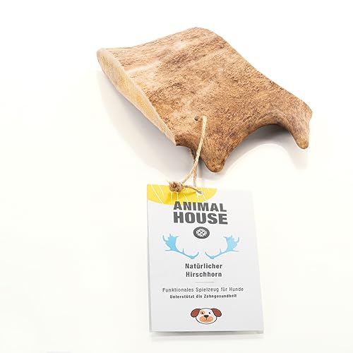 Animal House – Wildlederholz für Hunde – 100% natürlicher Kausnack – Stärkt die Mundhygiene – langlebig und widerstandsfähig – in Allen Größen erhältlich (M) von Animal House