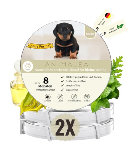 Animalea® Flohhalsband für kleine Hunde - verbesserte Formel - Länge 38cm - 100% naürliche Inhaltsstoffe & Premium Öle - bis zu 8 Monate wirksamer Schutz gegen Zecken Flöhe Mücken Läuse Ungeziefer von Animalea