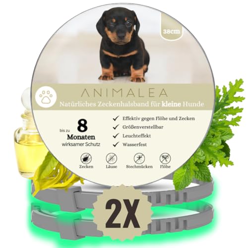 🅽🅴🆄: Animalea® Zeckenhalsband für kleine Hunde - Länge 38cm - 100% naürliche Inhaltsstoffe & Premium Öle - bis zu 16 Monate wirksamer Schutz gegen Zecken Flöhe Mücken Läuse Ungeziefer von Animalea