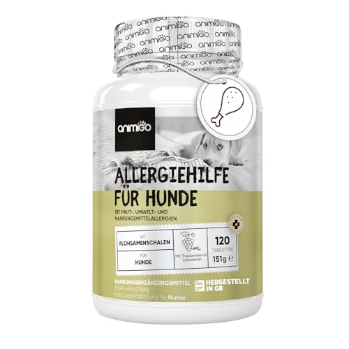 animigo Allergie Tabletten für Hunde - 120 Tabletten für Verdauung, Immunsystem, Haut & Fell Allergien bei Hunden - Mit Kurkuma, Flohsamenschalen, Leinsamen, Traubenkernextrakt - Mit Huhn Geschmack von animigo