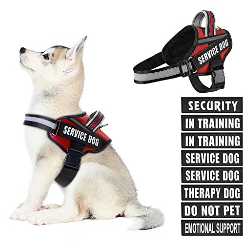 Hundegeschirr und Patches Set, Animire im Trainingsservice Hundegeschirr mit 10 Hundeflicken, Reflektierende Hundeweste mit Griff für kleine, mittelgroße und extra große Hunde Hundegeschirr und Patches Set, Animire im Trainingsservice Hundegeschirr mit 10 Hundeflicken, Reflektierende Hundeweste mit Griff für kleine, mittelgroße und extra große Hunde von Animire