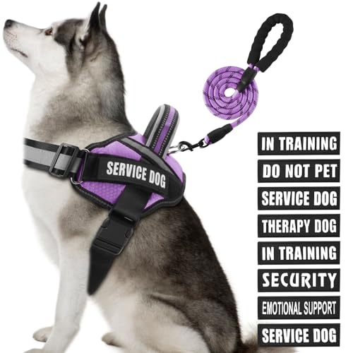 Service Dog Vest Harness and Leash Set, Animire in Training, Hundegeschirr mit 10 Hundeflicken, reflektierende Hundeleine mit weich gepolstertem Griff für kleine, mittelgroße und große Hunde (Lila, von Animire