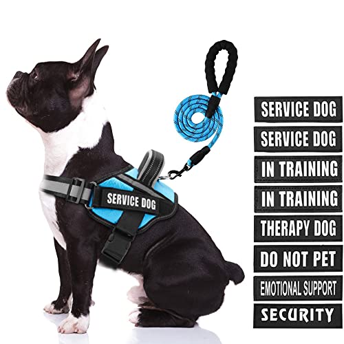 Animire Service Hundegeschirr (Medium, Hellblau) mit Reflexstreifen, Leine und 10 Patches, für Hundetraining und Spaziergänge von Animire