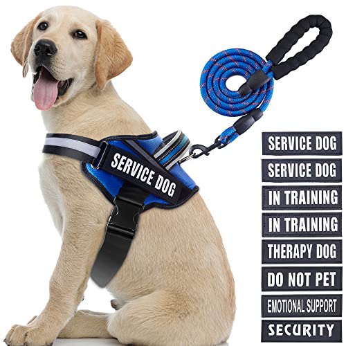 Service Dog Vest Harness and Leash Set, Animire in Training, Hundegeschirr mit 10 Hundeflicken, reflektierende Hundeleine mit weich gepolstertem Griff für kleine, mittelgroße und große Hunde (Blau, L) von Animire