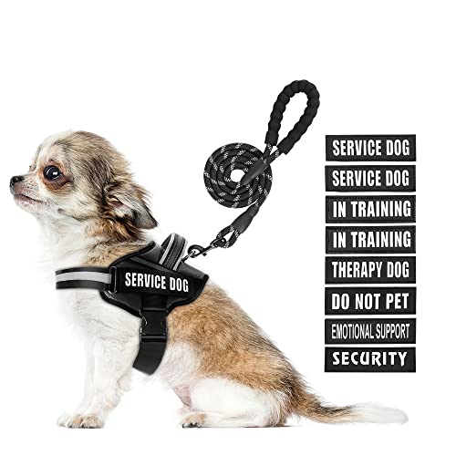 Service Dog Vest Harness and Leash Set, Animire in Training Dog Harness with 9 Dog Patches, Reflective Dog Leash with Soft Padded Handle for Small Medium Large and Extra Large Dogs (Red, L) von Animire