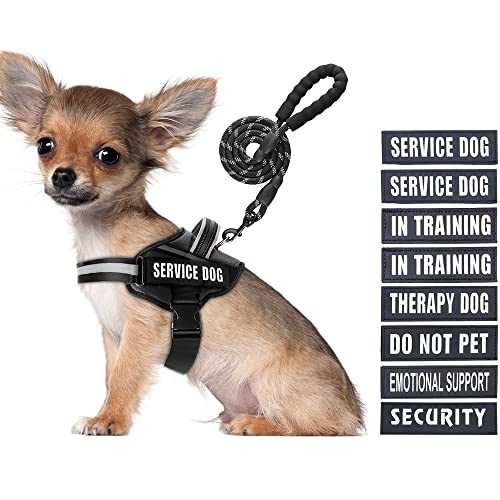 Service Dog Vest Harness and Leash Set, Animire in Training, Hundegeschirr mit 10 Hundeflicken, reflektierende Hundeleine mit weich gepolstertem Griff für kleine, mittelgroße und große Hunde (Schwarz, von Animire