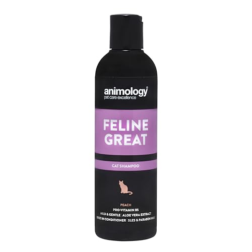 Animology 5060180812300 Feline Great Katzenshampoo, 250 ml von Animology