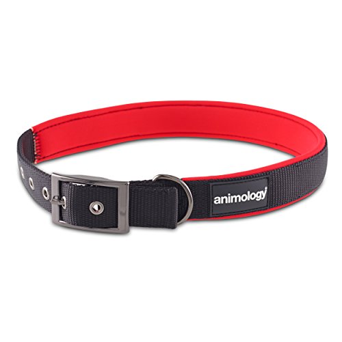 Animology Neopren Gepolsterte Nylon Hundehalsband, langlebig, extra groß, rot von Animology