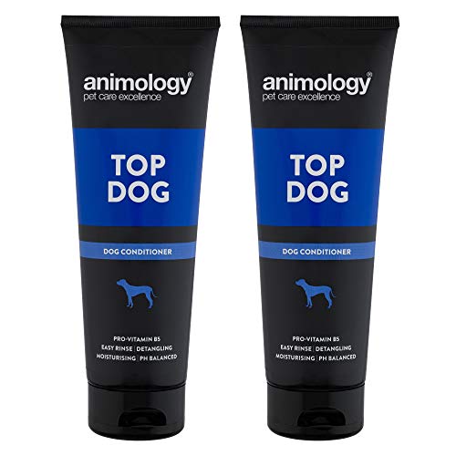 Animology Top Dog Klimaanlage PA von Animology