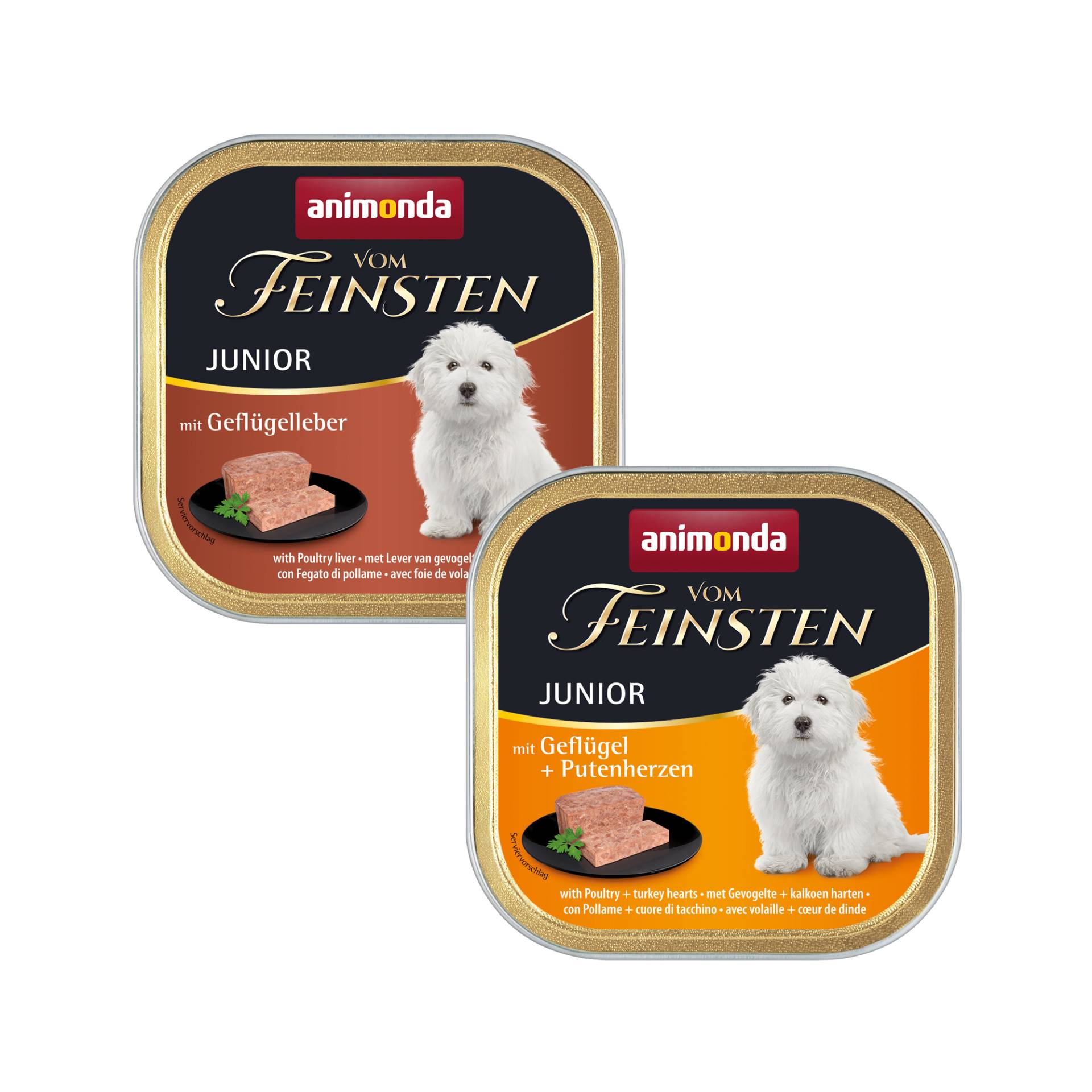 Animonda vom Feinsten Junior Hundefutter - Schälchen - Geflügelleber - 22 x 150 g von Animonda