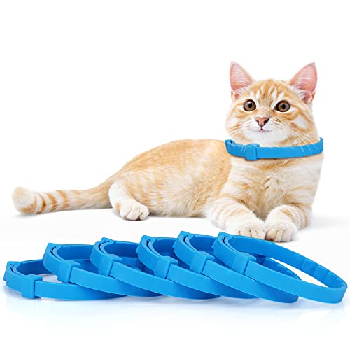 Anipaw Beruhigendes Halsband für Katzen, beruhigendes Halsband, entspannendes Katzen-Pheromon-Halsband, verstellbar, für kleine, mittelgroße und große Katzen, Pinkeln, lindert Angst und Stress (blau) von Anipaw