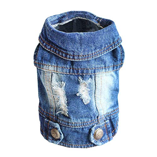 Anjing Haustier-Kleidung, Hunde-Jeansjacke, coole blaue Denim-Jacke, Revers-Westen, klassische Hoodie, Blau von Anjing