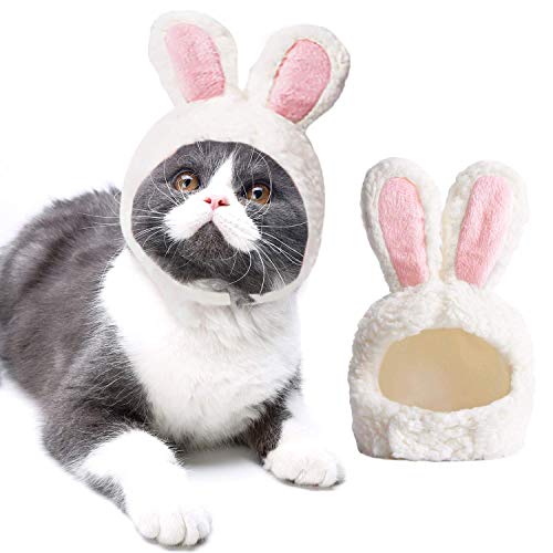 Anjing Hund Katze Kostüm Katze Lustiges Outfit verstellbare Größe Katze Häschen Kostüm Welpen Outfit Hase Ohren von Anjing