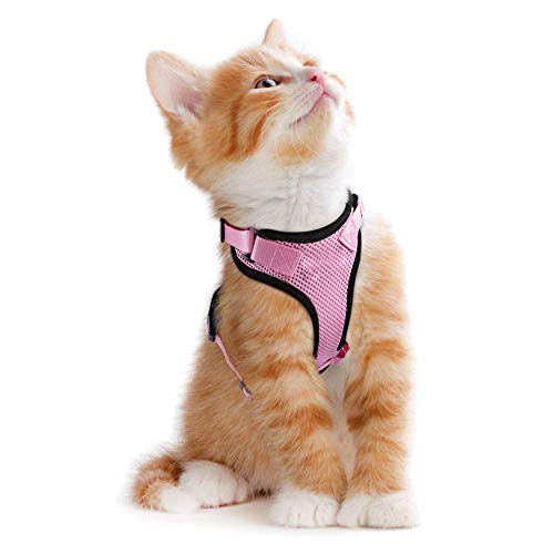 Anjing Katzengeschirr für kleine Katzen, Hunde, Netzgewebe, mit Leine, Clip, reflektierende Streifen, Pink von Anjing