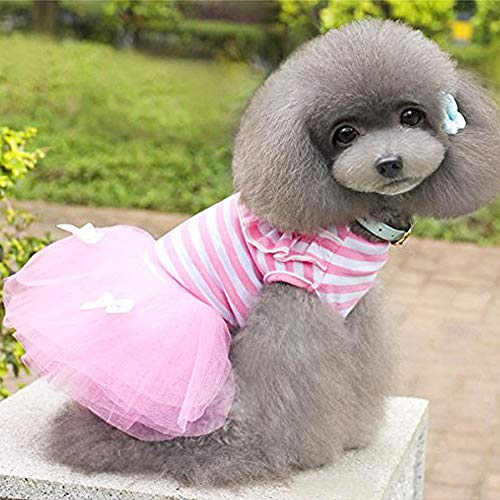 Anjing Kleines Hundekleid mit Schleife für Mädchen, gestreift, Spitze, Rock, Katzenbekleidung, romantische Prinzessin, Rosa von Anjing