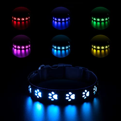 Ankilo LED Leuchthalsband Hund,Leuchthalsband für Hunde Aufladbar,Hundehalsband Leuchtend Halsband für Hunde Einstellbare Größe Sicherheit,7 Farbwechsel Halsband Hund Helle Sicherheit,S von Ankilo