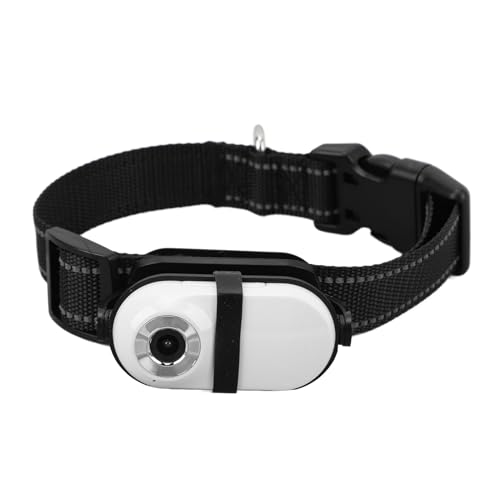 Annadue Haustier Kamerahalsband, HD 1080P Haustierkameras Katzenhalsband Action Kamera mit Verstellbarer Halterung, Hundehalsband Kamera für Heimtierbedarf, Kamera für Katzen, Hunde (32GB) von Annadue