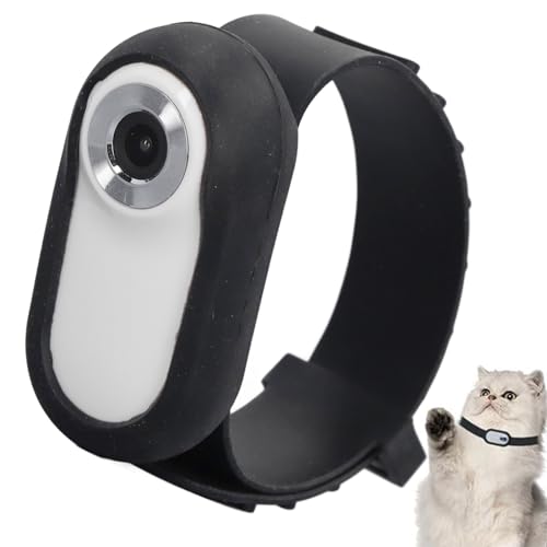 Haustier Kamerahalsband, Full HD Katzen Hundehalsband Kamera mit Videoaufzeichnung & 90°Weitwinkelobjektiv, kein WLAN Erforderlich Haustier Action Kamera für Hunde, Katzen (White) von Annadue