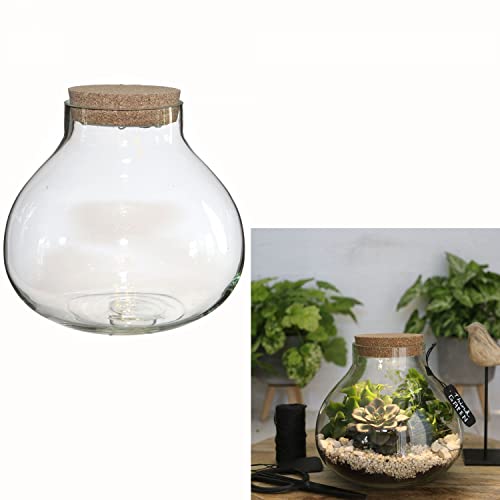 Pflanz-Terrarium mit LED-Beleuchtung H 14 cm oder 20 cm - Pflanzenglas - Flaschengarten - Pflanzenterrarium - Mini-Garten - Bonsai-Garten - Glas-Terrarium Größe Malia (H 14 cm - Ø 15,5 cm) von Annastore