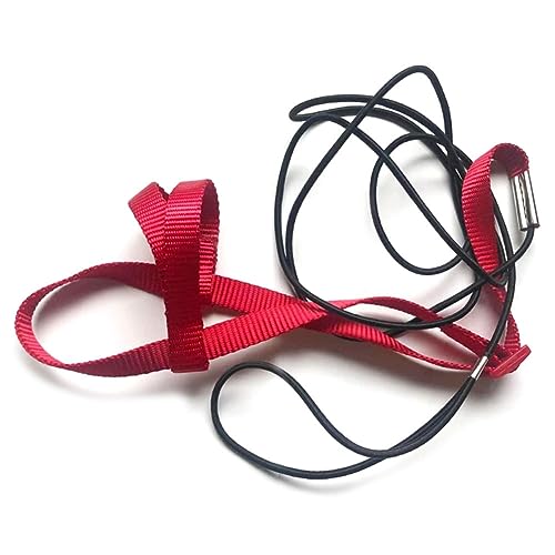 Anneth 1 Stück Outdoor Flying Traction Strap Flying Training Rope Kit für Vogelpapagei Red S von Anneth