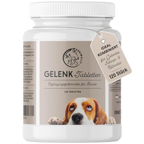 Gelenktabletten für Hunde mit MSM, Grünlippmuschel, Teufelskralle, Glucosamin & Hyaluron - 120 Gelenke Tabletten für Hunde - Hohe Akzeptanz beim Hund durch kleine Tabletten von Annimally