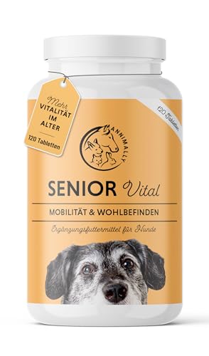 Annimally Senior Vital 120 Gelenktabletten für Hunde mit MSM, Ingwer, Weihrauch, Spirulina Mobilität und Wohlbefinden für Gelenke, Knorpel & Bindegewebe Tabletten von Annimally