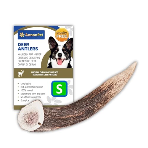 AnnonPet® Hirschhorn für Hunde | Natürliche Kauartikel für Hunde | Hirschknochen für Hunde reich an Kalzium und Phosphor | Ideal für Mundhygiene und Zahngesundheit | Reduziert Zahnstein (Small) von AnnonPet