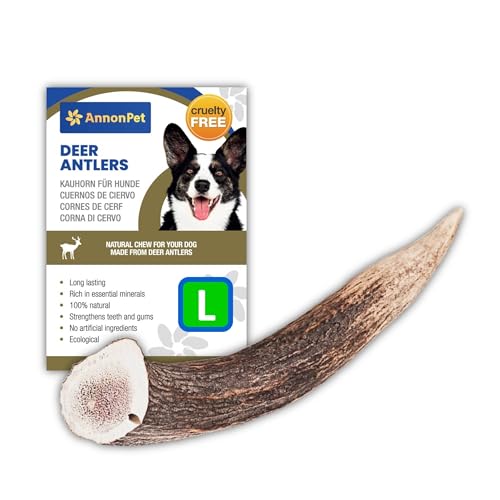 AnnonPet® Hirschhorn für Hunde | Natürliche Kauartikel für Hunde | Hirschknochen für Hunde reich an Kalzium und Phosphor | Ideal für Mundhygiene und Zahngesundheit | Reduziert Zahnstein (Large) von AnnonPet