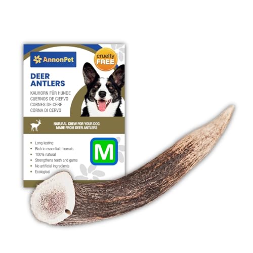 AnnonPet® Hirschhorn für Hunde | Natürliche Kauartikel für Hunde | Hirschknochen für Hunde reich an Kalzium und Phosphor | Ideal für Mundhygiene und Zahngesundheit | Reduziert Zahnstein (Medium) von AnnonPet