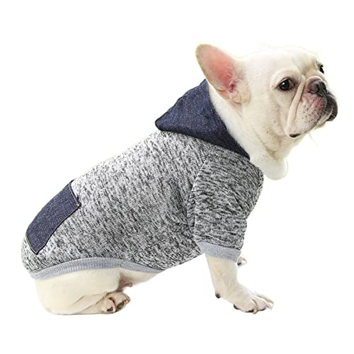 Anomidry hundebekleidung & zubehã¶r Herbst und Winter Warmer Pullover Jeanstasche Zwei Fuß Sportart Haustierkleidung Hundekatzenkleidung (Color : H, Size : M) von Anomidry