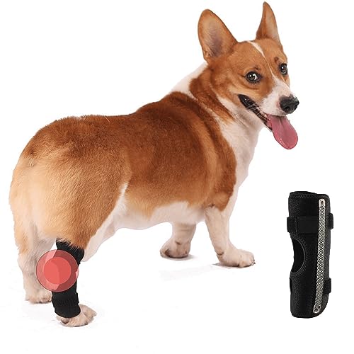 Hunde-Hinterbeinbandage, 1 Paar Hundebeingelenkbandagen Kompressionsbandage schützt Wunden, heilt und beugt Verletzungen und Verstauchungen vor, hilft bei Stabilitätsverlust durch Arthritis (XL) von Anosiar