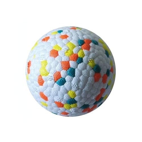 Anoudon 2pcs Hundespielzeug Elastischer Ball Biss resistent Molar Keji Goldenes Haar Speziell für große und mittlere Hundetraining von Anoudon