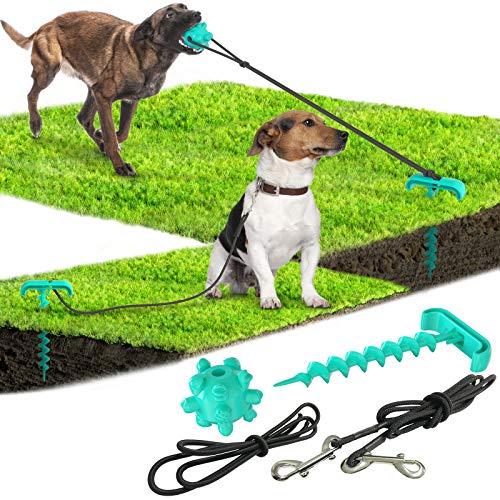 Anoudon Hundeketten für Outdoor Camping Hund Garten Tether Pfahl Hundeleine für Garten Yard Hund Pfahl Tie Out Kabel für kleine 10lb Hunde zu Medium 40lb Hund von Anoudon