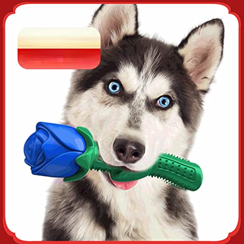 Anoudon Ross Form Hund Kauen Spielzeug, Hund Zähne Reinigung Gummi Spielzeug Haustier Schleifen Stick Squeaky Spielzeug Eingebautes Pfeifen Hundespielzeug blau von Anoudon