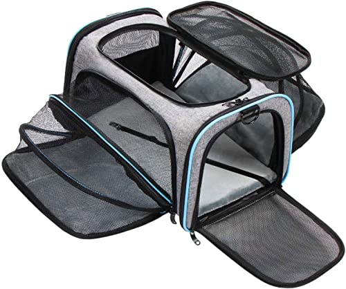 Expandable Pet Carrier, Airline genehmigt Soft-Sided Hund Katze Carrier Bag mit Fleece-Pad für Katzen, 2 Seiten atmungsaktiv Mesh zusammenklappbar Welpe Tragetasche Welpe und kleine Tiere (Grey-Blue) von Anoudon