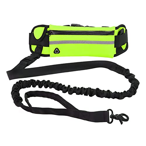 Hands Free Dog Leine, Taille Hund läuft Leine für mittlere bis große Hunde, einziehbare Bungee Hände frei Leine für Walking Jogging Training Wandern, verstellbare Taille Gürtel, Dual Handle (Green) von Anoudon