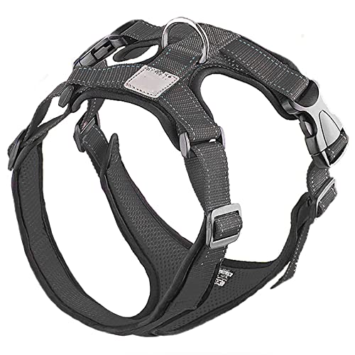 AnsonBoy Hundetruhe Mit Leine Nylon-hundegeschirr Verstellbares, Weiches Atmungsaktives Halsband Welpen-Katzen-brustgurt Hundetruhe Mit Leine,Schwarz,M von AnsonBoy