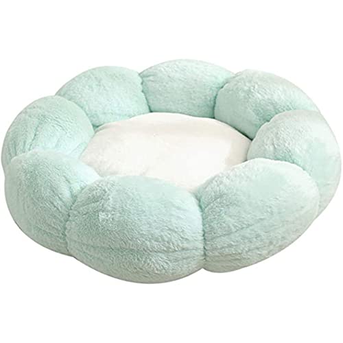 AnsonBoy Katzenbett Blume Geformt Indoor Gemütliche Haustierbetten Ultra Weicher Plüsch Hundekorb Sonnenbedarf Warmes Selbstwärmendes Haus Schlafsack Kissen-Matte,Green+White,55cm von AnsonBoy