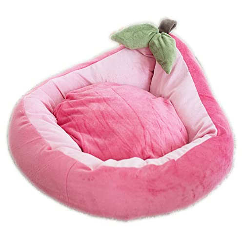 AnsonBoy Schönes Obstform-haustiersofa Weiches Und Warmes Hundebett Im Winter Bequemes Schlafendes Katzennest,Peach,S 48x48cm von AnsonBoy