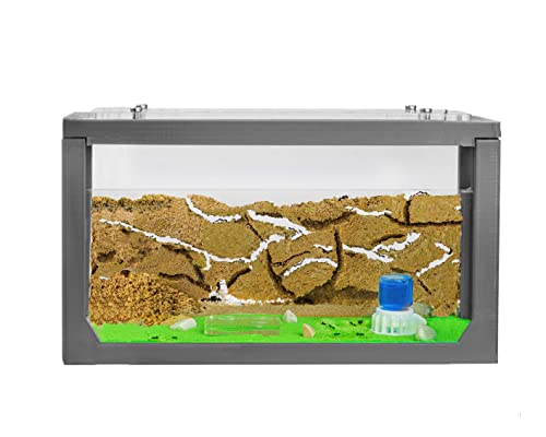 AntHouse - Ameisenfarm mit Ameisen Starterset | 3D Ameisenfarm 20x10x10 cm Grau | Ameisen inklusive von AntHouse