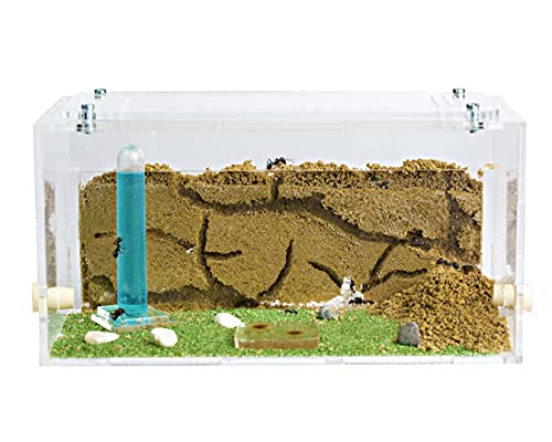 AntHouse - Natürliche Ameisenfarm aus Sand | Acryl Starter Set 20x10x10 cm | Einschließlich Ameisen von AntHouse